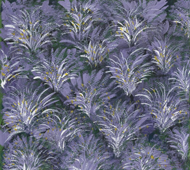 Lavender Fields