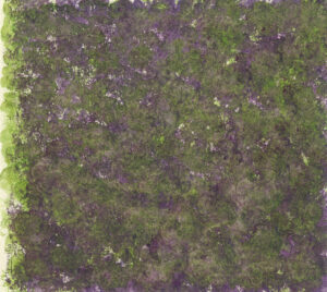 Spring Glory In The Park