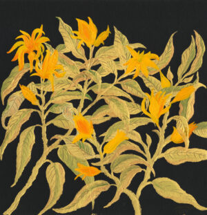The Joyful Champaka Bloom