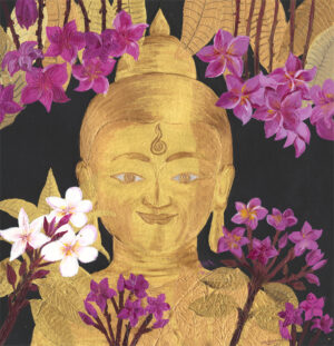 Plumeria offering to Buddha