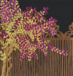 Beutiful Bougainvillea