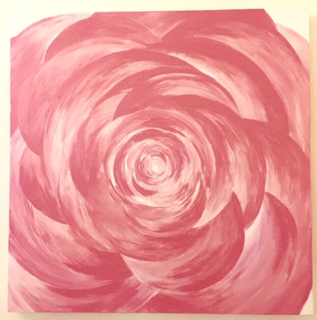 A Single Pink Rose