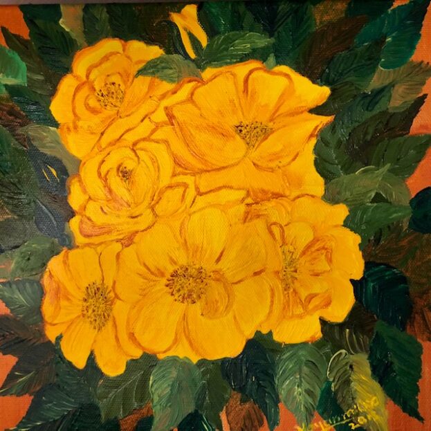 The radiance of the yellow rose