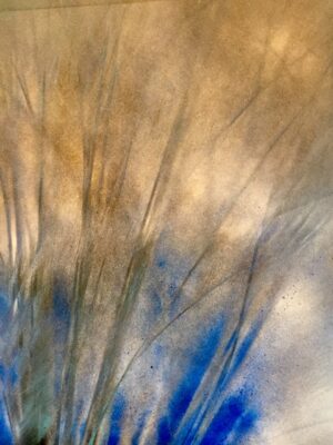 Waiting for dawn by the pond